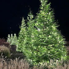 Commercial-Holiday-Lighting-Transformation-Charlottes-Premier-Holiday-Lighting-Experts 1